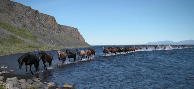 Foto:Herdís